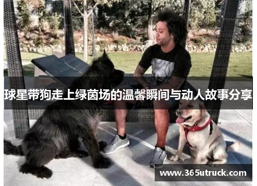 球星带狗走上绿茵场的温馨瞬间与动人故事分享